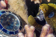 Load image into Gallery viewer, SEWILLS PROFESSIONAL DIVER PRS-44