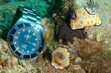 Load image into Gallery viewer, SEWILLS PROFESSIONAL DIVER PRS-44