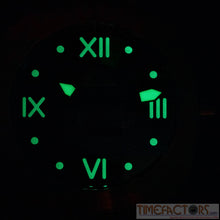 Load image into Gallery viewer, PRECISTA BRONZE PRS-30