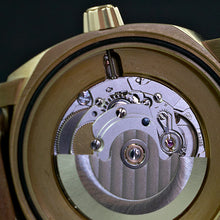 Load image into Gallery viewer, PRECISTA BRONZE PRS-30