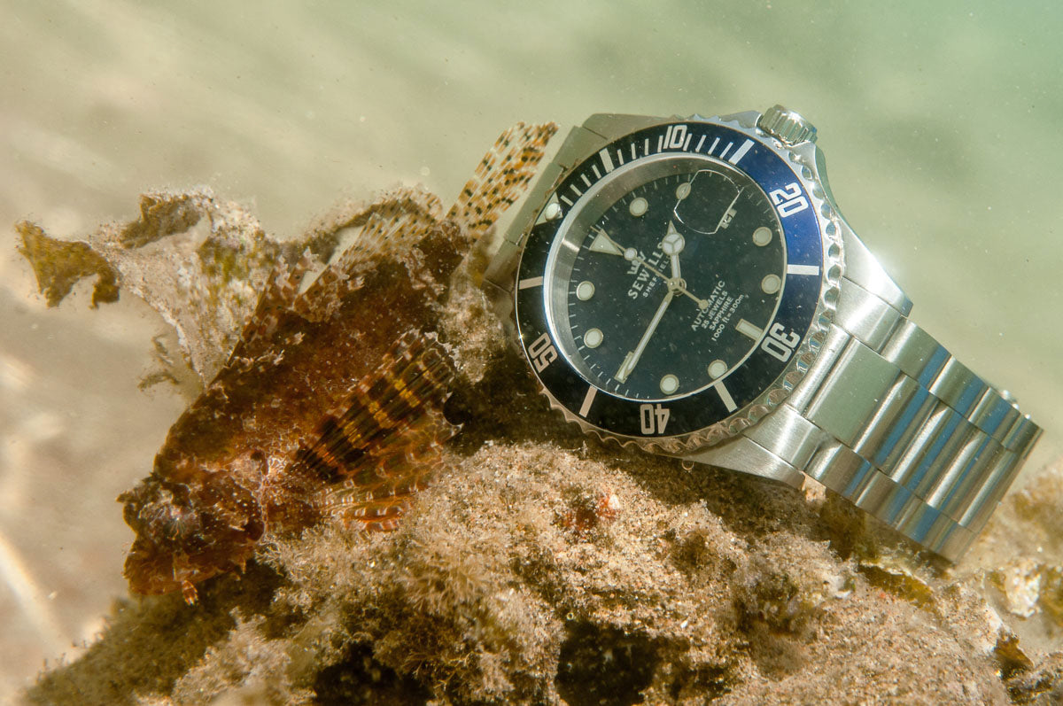リゾランLisklamkサファイア腕時計 TIMEFACTORS | SEWILLS PROFESSIONAL DIVER PRS-44 – Time Factors